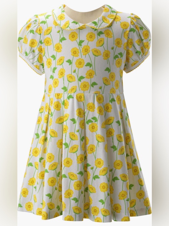 Rachel Riley Other - Rachel Riley Buttercup Print Girls Fit and Flare Dress Size 2T